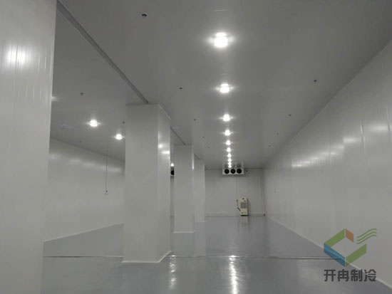 建設(shè)疫苗冷凍庫(kù)安裝有哪些驗(yàn)收標(biāo)準(zhǔn)？