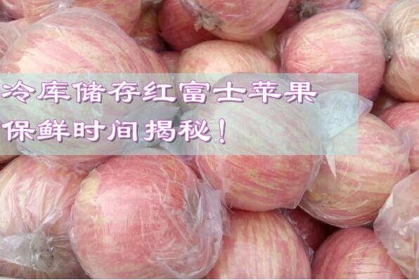 冷庫儲存紅富士蘋果，保鮮時間揭秘!