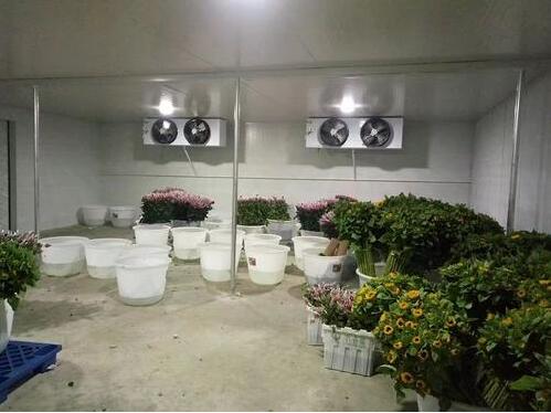 成都30立方小型鮮花保鮮冷庫(kù)工程案例