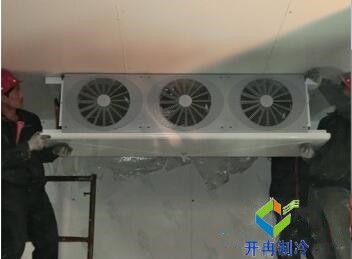 東莞100平水果保鮮冷庫造價大概要多少錢？