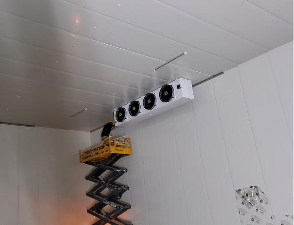 辣椒保鮮庫建造流程有哪些？_開冉制冷