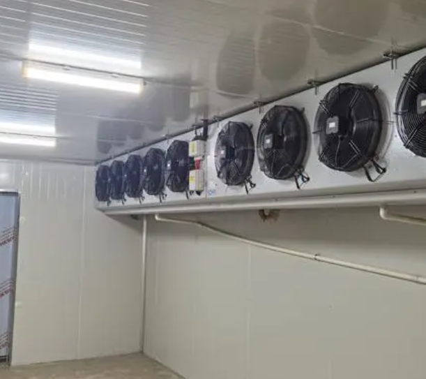 速凍冷庫(kù)的優(yōu)點(diǎn)有哪些？_上海開冉制冷