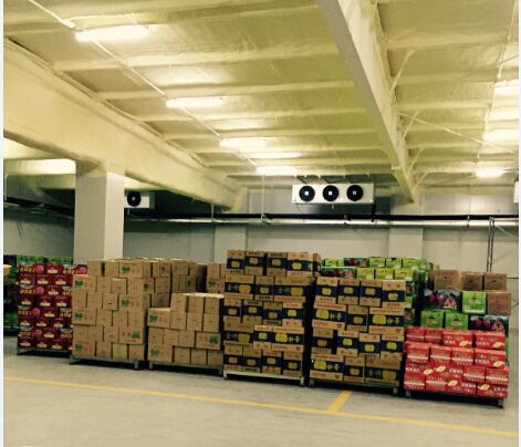 果園建水果保鮮庫大概需要花多少錢? 果園建水果保鮮庫大概需要花多少錢?