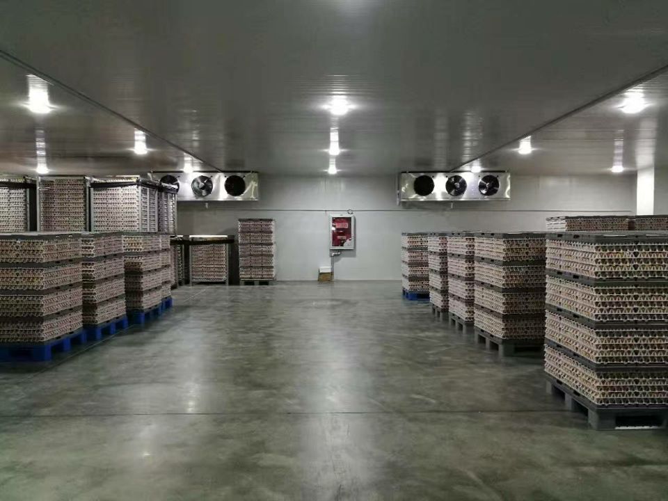 食品冷庫的庫內(nèi)實拍圖