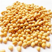 鮮黃豆冷庫設(shè)計(jì)安裝造價，冷庫保鮮溫度是多少