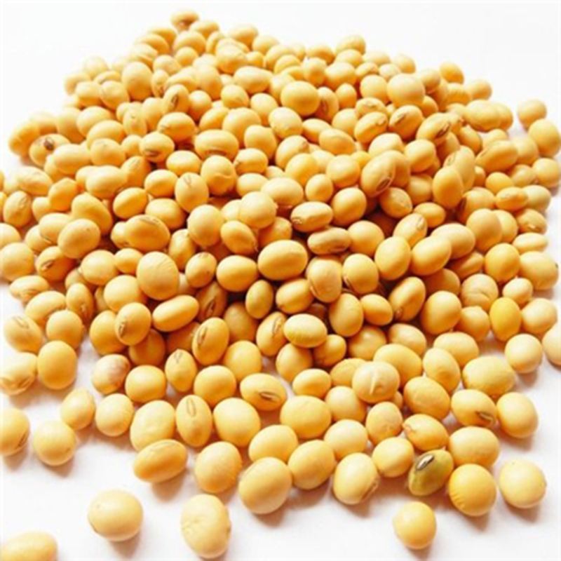 鮮黃豆冷庫 鮮黃豆冷庫