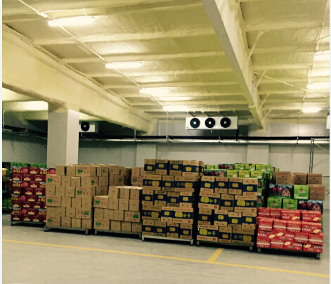 600噸蔬菜保鮮庫 600噸蔬菜保鮮庫