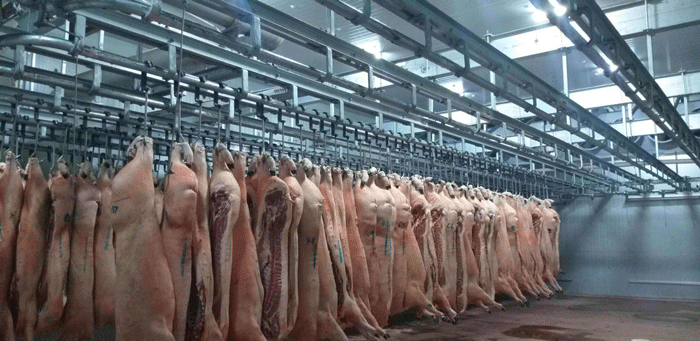 1000立方米肉類冷凍庫 1000立方米肉類冷凍庫