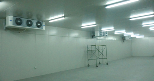 11000平方米冷凍冷庫設備投資需要多少錢 11000平方米冷凍冷庫設備投資需要多少錢