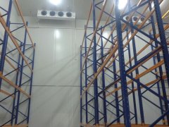 1000噸大姜冷庫安裝費用是多少錢?