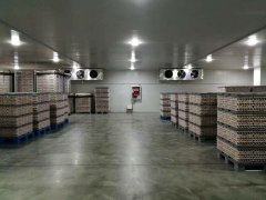 定制一個1000立方食品冷藏庫，需要多少錢？