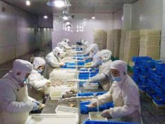 安裝一個3000立方低溫冷凍庫需要投資多少錢？