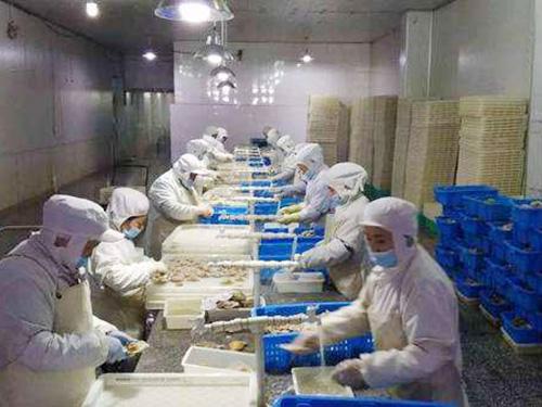 3000立方低溫冷凍庫 3000立方低溫冷凍庫