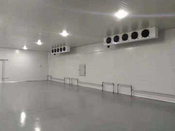 1000平米高3米冷庫 1000平米高3米冷庫