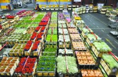 800平米鮮花保鮮冷庫安裝費(fèi)用是多少?