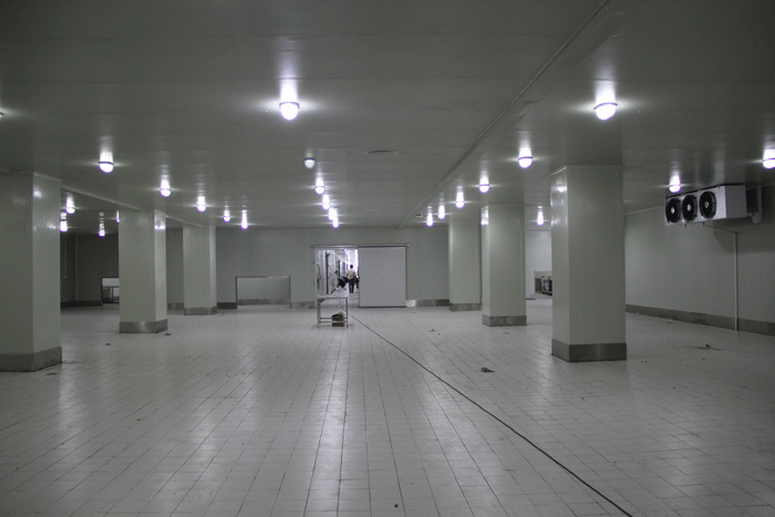 4000立方冷庫建造工程 4000立方冷庫建造工程