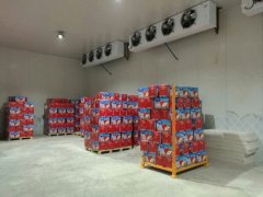 建造一個4000平方蘋果冷庫大概需要多少錢？