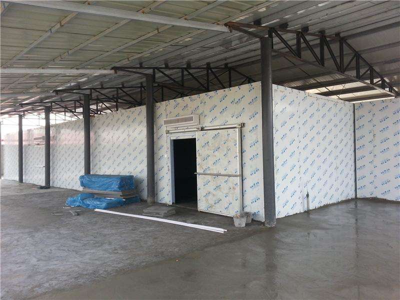 浙江建-60℃金槍魚(yú)超低溫冷庫(kù)，冷庫(kù)總價(jià)預(yù)算多少