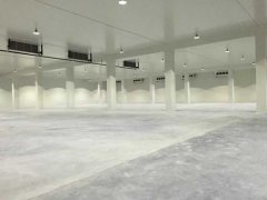 新建1000平方農產品冷藏庫大概要多少錢?