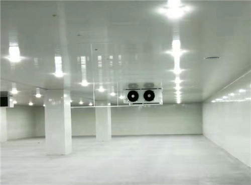 300平方高3米冷庫 300平方高3米冷庫