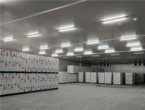 300平方高3米冷庫 300平方高3米冷庫