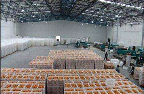 丑橘保鮮冷庫 丑橘保鮮冷庫