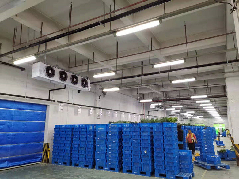 5000平米生鮮電商冷庫設(shè)計(jì)建造標(biāo)準(zhǔn)造價核算