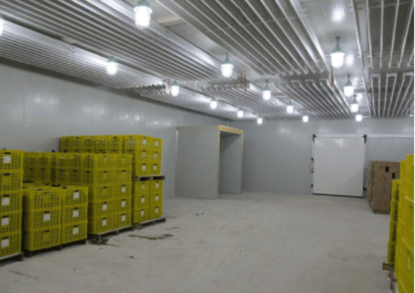 農產品出口冷庫