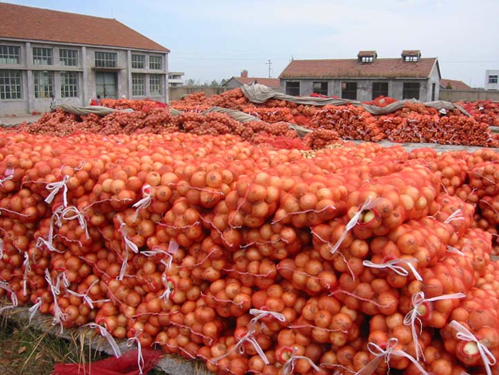洋蔥保鮮庫(kù)-上海開冉冷庫(kù)