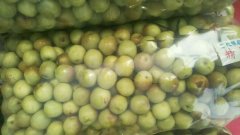 凍庫設計，冬棗保鮮庫多少錢？