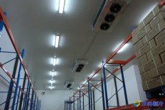 1300平冷庫多少錢，8000立方米冷庫造價