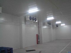 GSP醫(yī)療冷庫2-8℃冷庫建設(shè)報價，案例