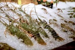 海鮮保存溫度？海鮮冷凍庫(kù)價(jià)格多少錢(qián)