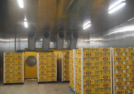 300噸葡萄保鮮庫造價，葡萄冷庫保鮮期及溫度