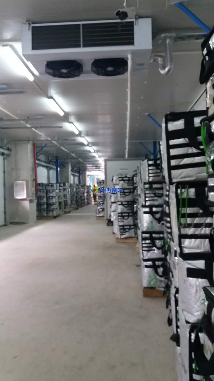 豬肉加工車間冷凍庫建設，排酸冷庫設計規劃方案