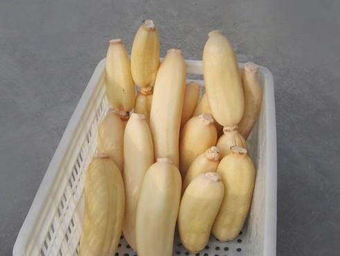 1500立方蓮藕冷庫建造,蓮藕保鮮庫造價(jià)怎么算