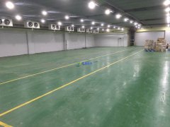 700平米水果冷庫造價多少,0-5℃保鮮庫建造一平價格