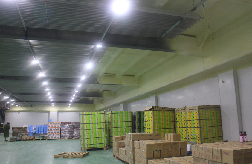 西紅柿冷藏庫安裝一套收費(fèi)多少，西紅柿保鮮庫造價(jià)