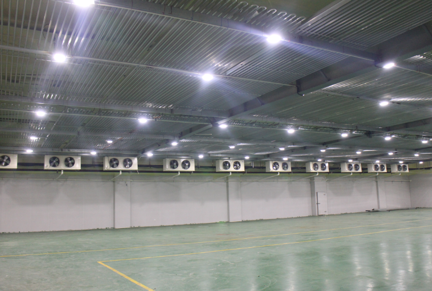 300噸西紅柿保鮮庫造價，西紅柿冷藏庫設計